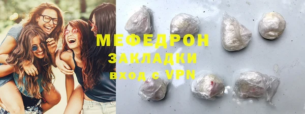 сатива Новозыбков