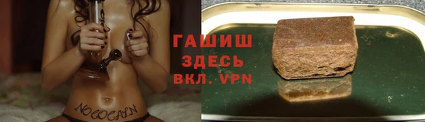 сатива Новозыбков