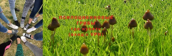 не бодяженный Нефтегорск