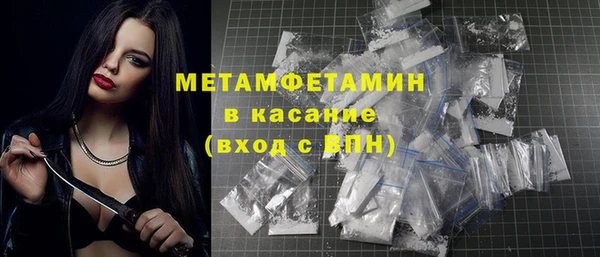 сатива Новозыбков
