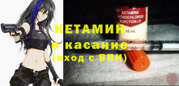 сатива Новозыбков