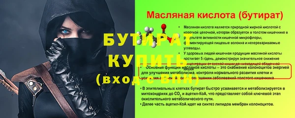 сатива Новозыбков