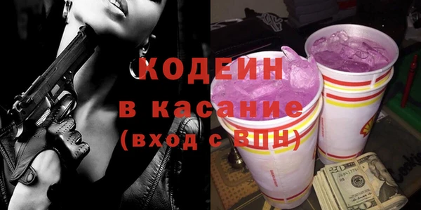 сатива Новозыбков