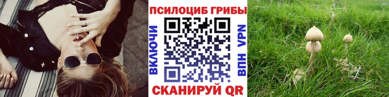 Галлюциногенные грибы Magic Shrooms  Шлиссельбург 